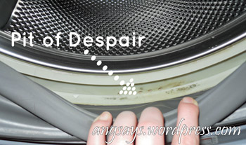 Washer Seal Cleaning washer seal