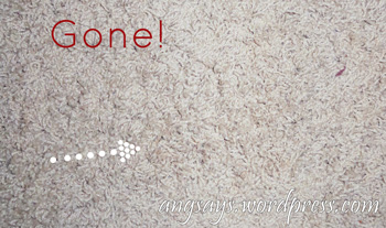 Removing Spaghetti Sauce carpet stains removed