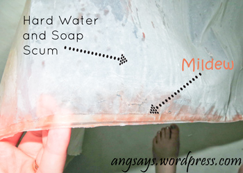 Removing bathroom mildew
