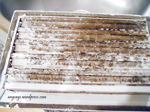 Clean Air Duct Vents