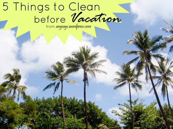 What to Clean Before Vacation