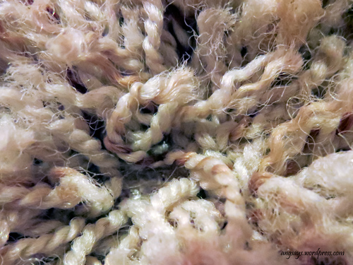 Secrets from a Professional Carpet Cleaner Carpet Cleaning Secrets