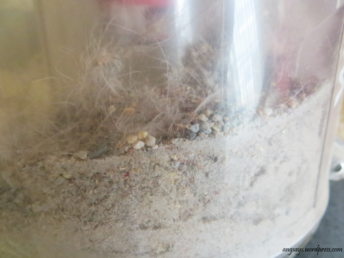 Professional Carpet Cleaning Secrets Professional Carpet Cleaner secrets