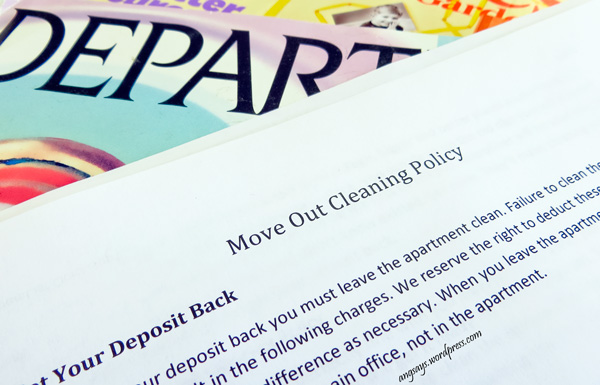 How to Clean an Apartment and Get Your Deposit Back