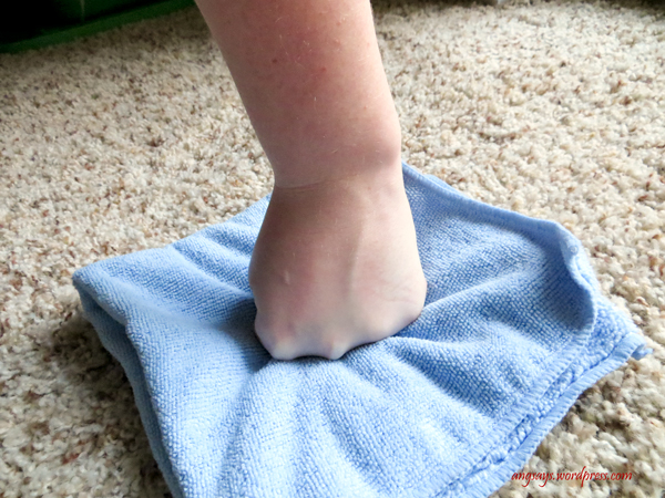 How to Clean Up Pet Stains -angsays.wordpress.com Clean Pet Stains