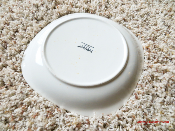 How to Clean Up Pet Stains -angsays.wordpress.com Clean Up Pet Accidents