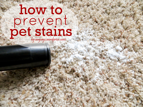 Pet Stain Removal