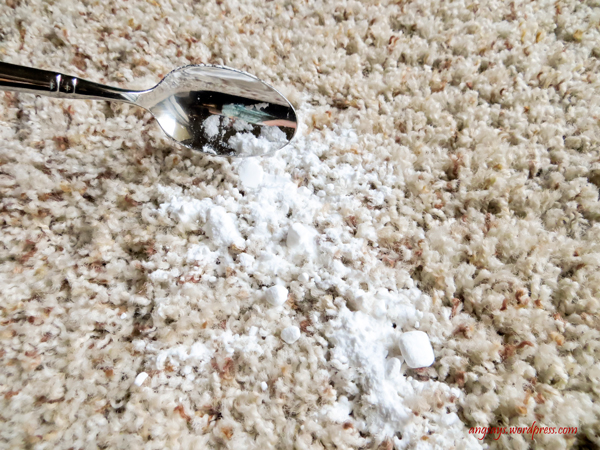 How to Remove Pet Stains -angsays.wordpress.com Remove Pet Stains