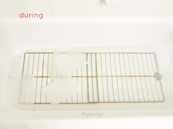 cleaning-greasy-oven-racks