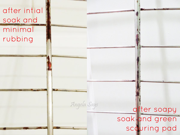 Easy Oven Rack Cleaner