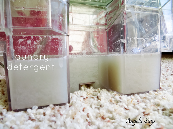 laundry-detergent-carpet-cleaning-solution