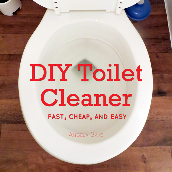 DIY Toilet Cleaner