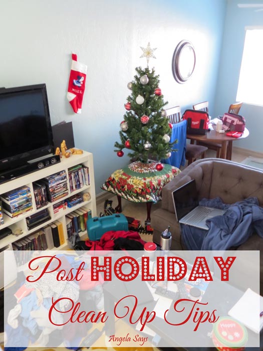 Post Holiday Clean Up Plan