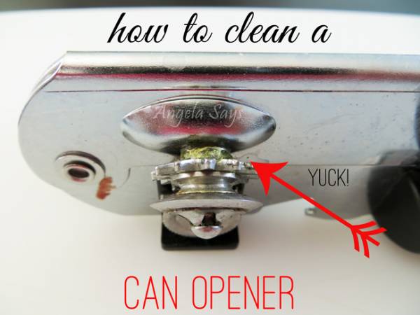 How to Clean a Can Opener- Quick and Easy Tips