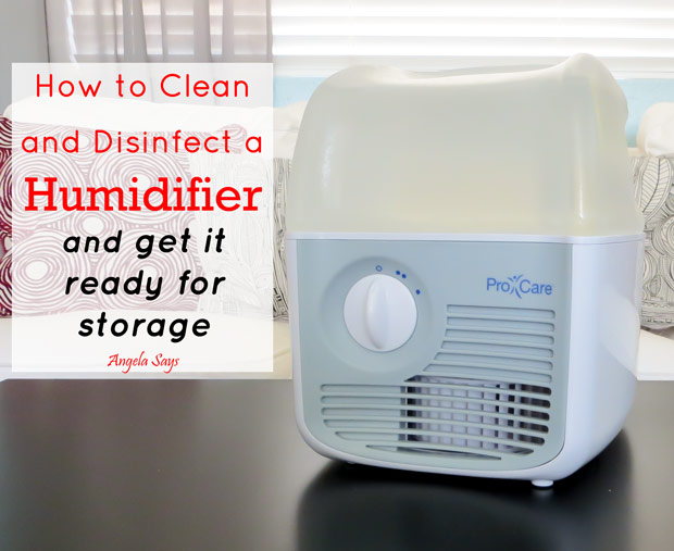 How to Clean & Disinfect a Humidifier {And Get it Ready for Storage}