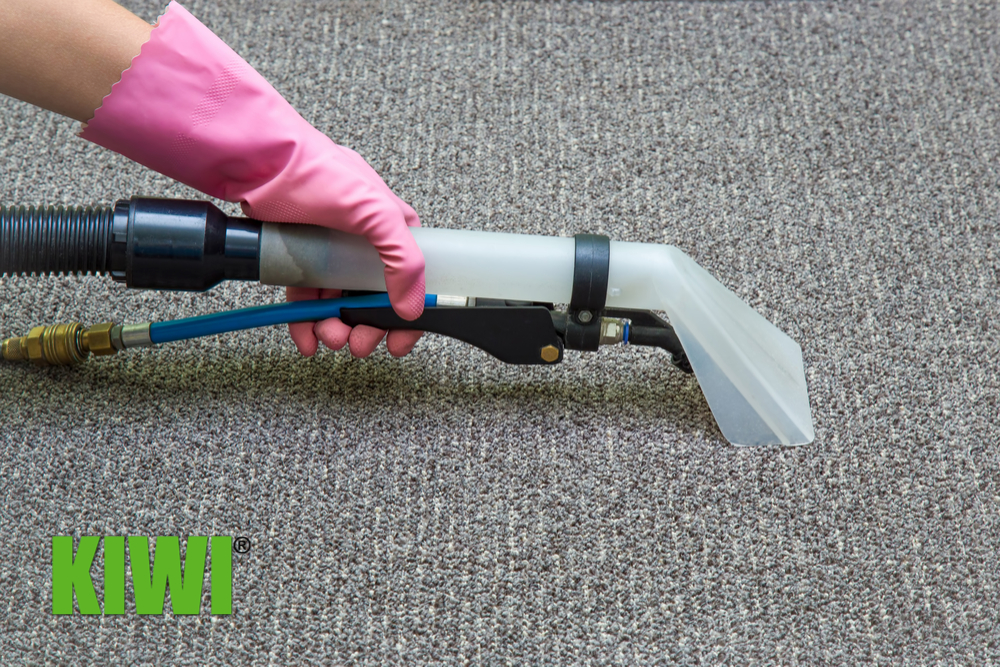 Professional Area Rug Cleaning Tips