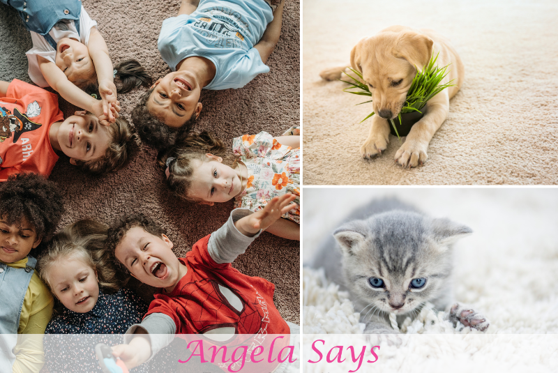 Pets, Kids, and Carpets: How to Maintain Clean Carpets in a Busy Home