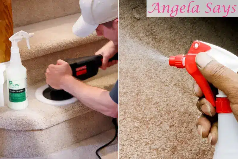 What happens with professional carpet cleaning