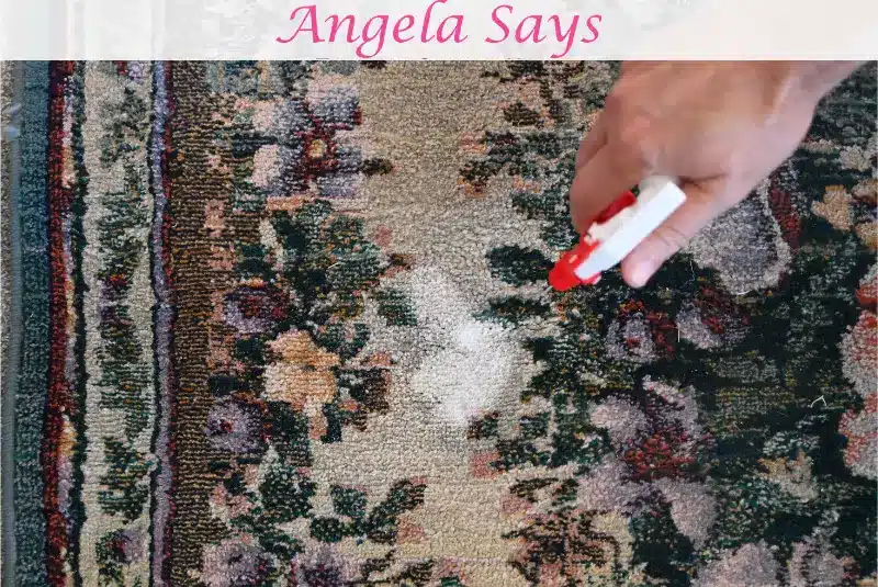 Detailed Cleaning for Rugs