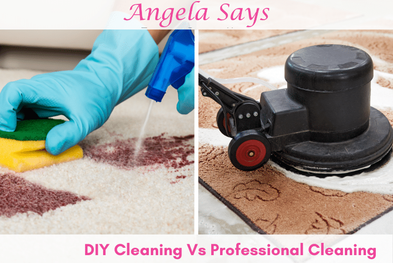 DIY-Vs-Professional-Rug-Cleaning