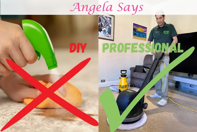 DIY-vs-Professional-cleaning-for-dust-mites