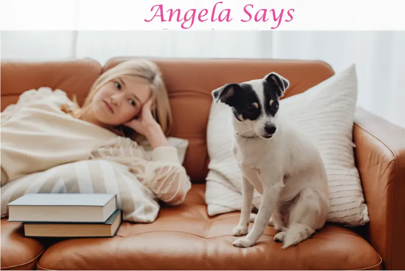 Leather Upholstery Care: How to Clean Without Cracking or Fading