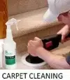 Get Free Online Carpet Cleaning quote