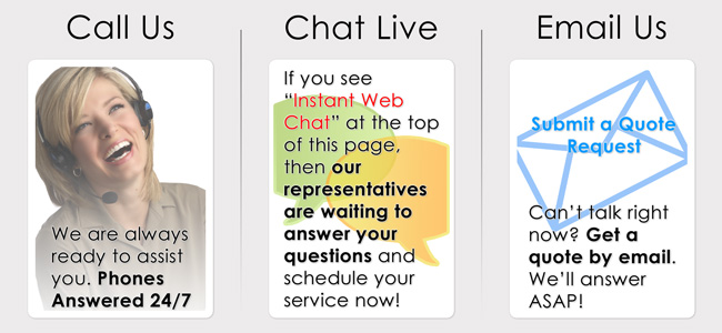 KIWI denton customer service