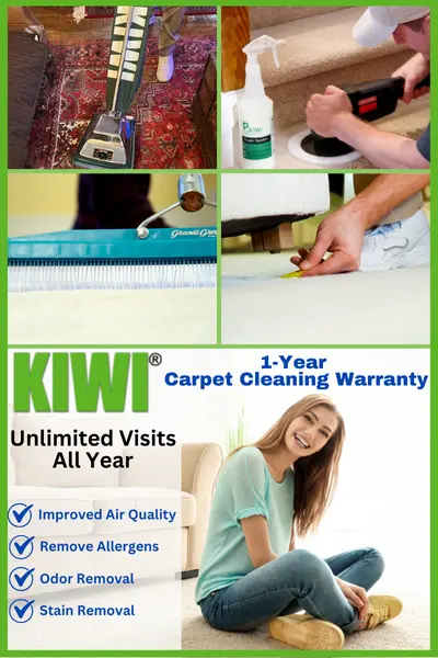 carpet cleaning benefits