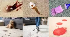 Stains on carpet