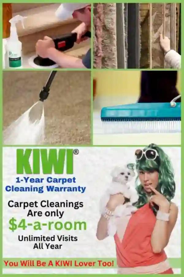 Carpet Cleaning