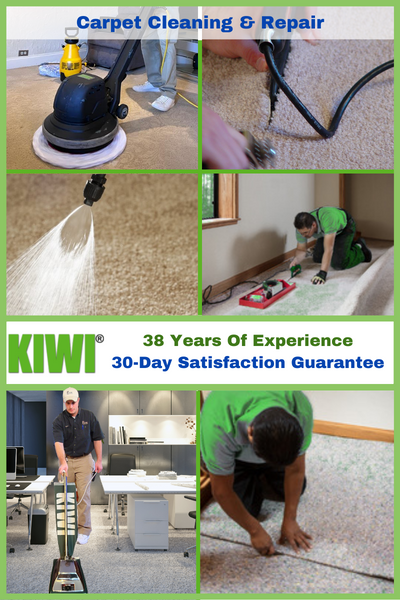 carpet cleaning and repair