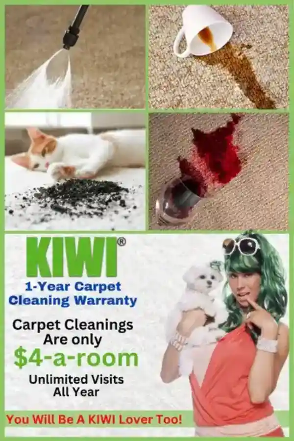 carpet cleaning warranty