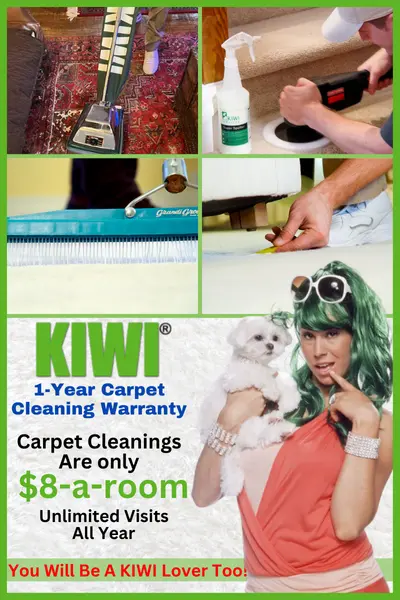 Carpet Cleaning Services