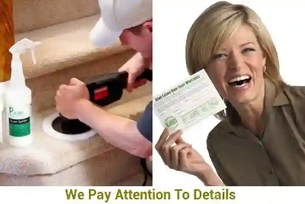 carpet being cleaned by hand