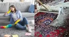 DIY vs Professional Rug Cleaning