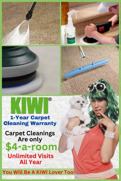 Dry Carpet Cleaning