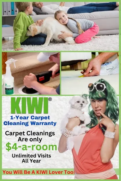 Green Carpet Cleaning