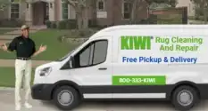Kiwi Rug Cleaning Free Pickup Delivery