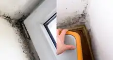 Mold due to water damage