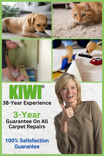 Pet Damage Carpet Repair Services By Kiwi Services