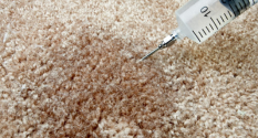 Remove Odor from Carpet