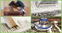 Rug Cleaning