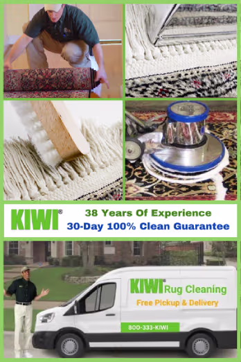 Rug cleaning