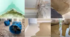 Types of water damage