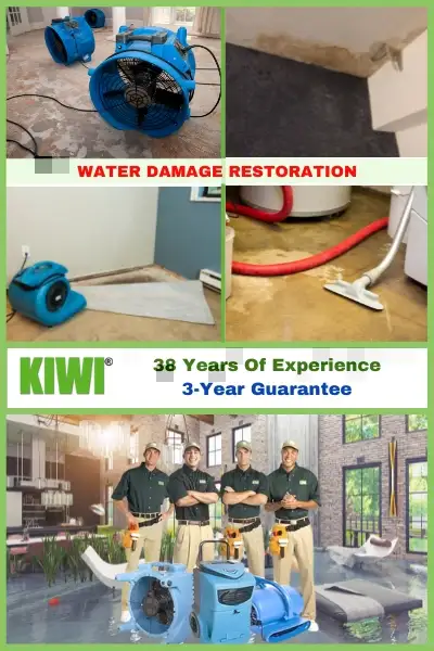 Agent handling water restoration claim