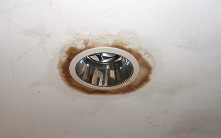 Mold around light fixture