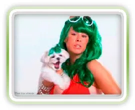 Cha-Cha stars in this cute KIWI Carpet Cleaning Commercial