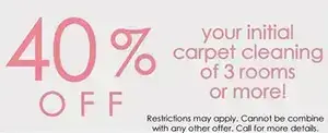 Professional Carpet And Rug Cleaners Special 40%