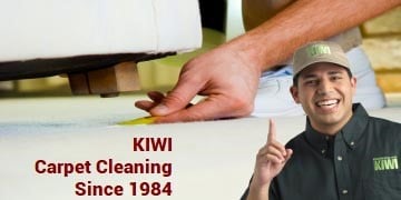 carpet cleaning with 2 kiwi techs